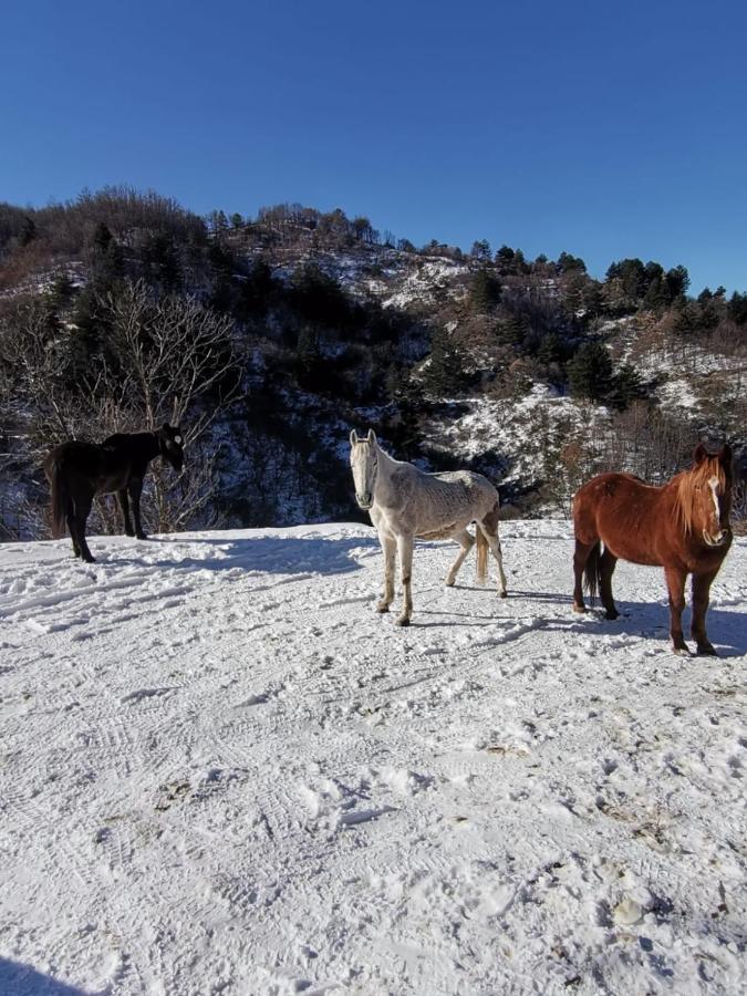 La Locanda Del Poeta Acri Kültér fotó