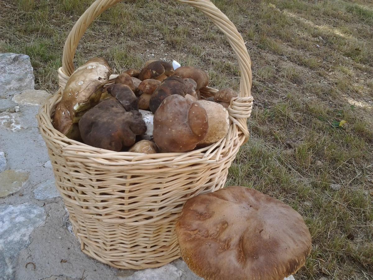 La Locanda Del Poeta Acri Szoba fotó