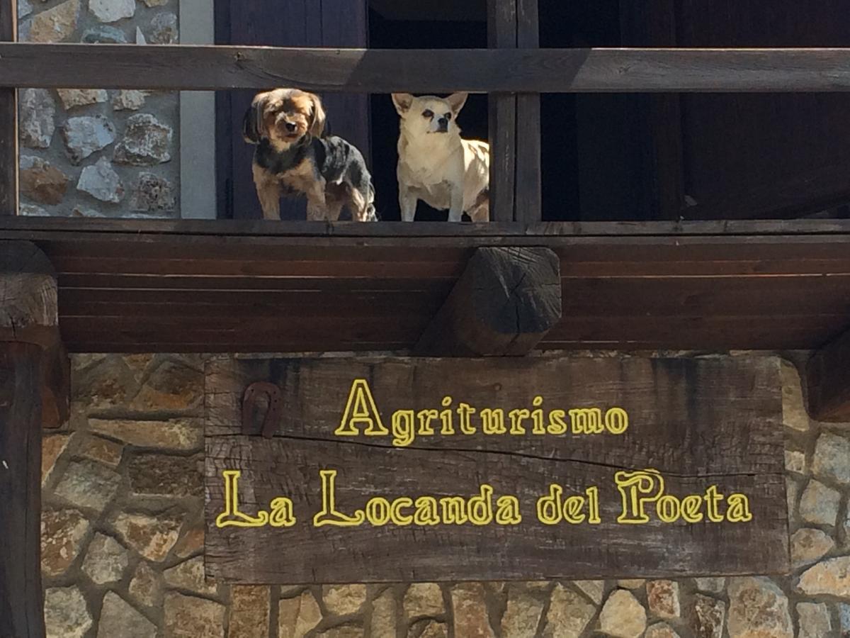 La Locanda Del Poeta Acri Kültér fotó